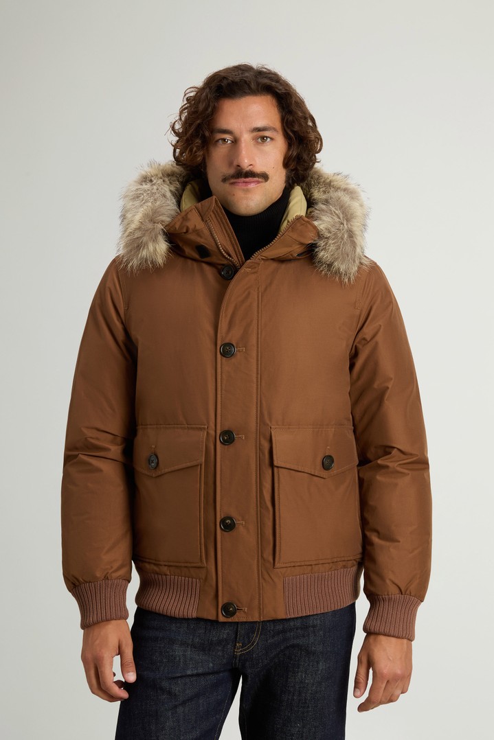 Padded Polar bomber jacket in Ramar Cloth with hood Brown photo 1 | Woolrich