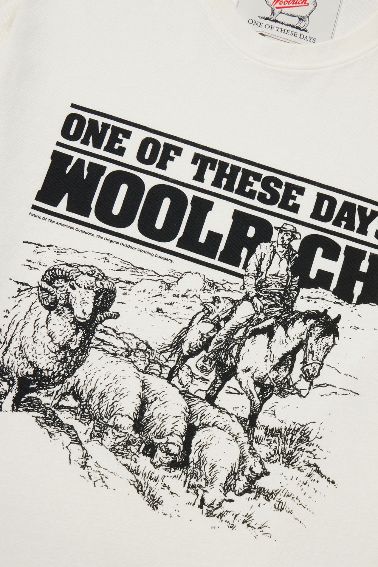T-shirt in Pure Cotton - One Of These Days / Woolrich White photo 3 | Woolrich