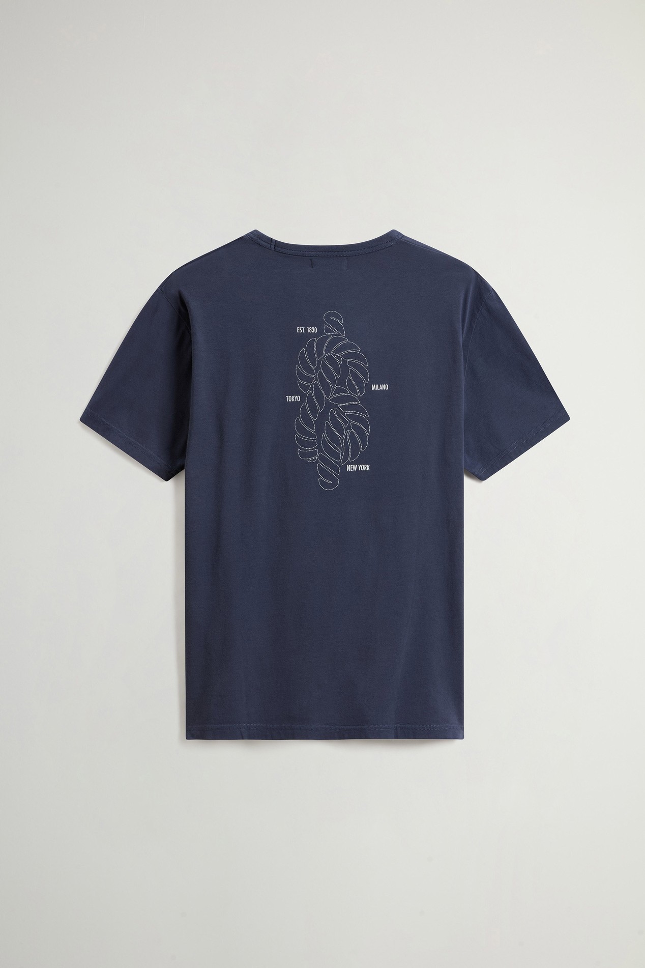 Garment-Dyed T-shirt in Pure Cotton Blue photo 2 | Woolrich