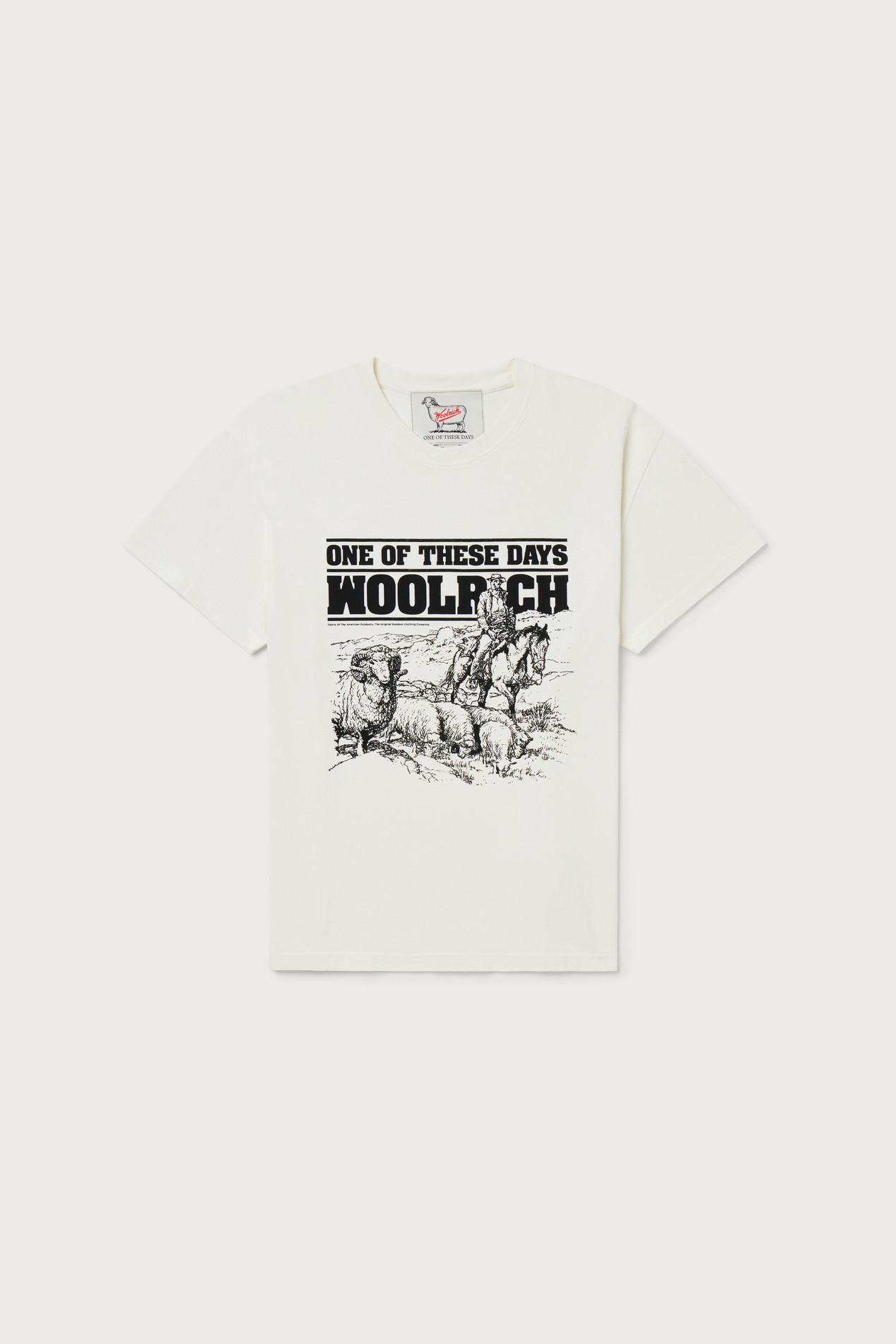 T-shirt in Pure Cotton - One Of These Days / Woolrich White photo 1 | Woolrich