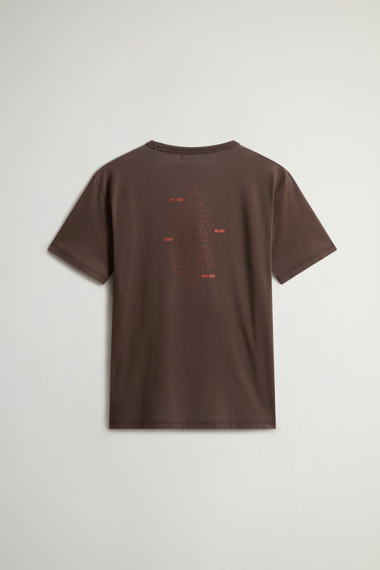 LIGHT GD GRAPHIC T-SHIRT Brown photo 6 | Woolrich