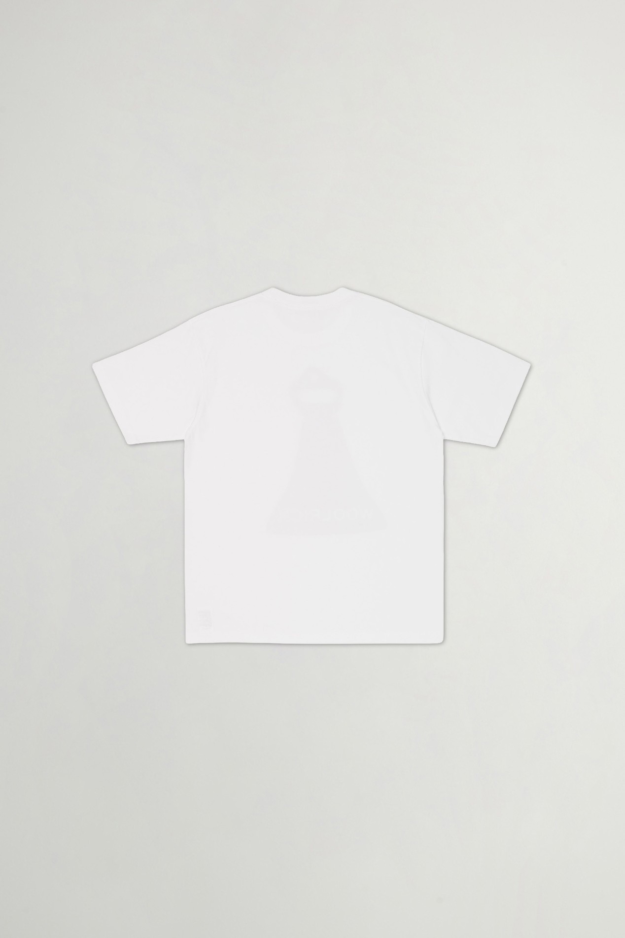 Bell T-Shirt in Pure Cotton White photo 2 | Woolrich