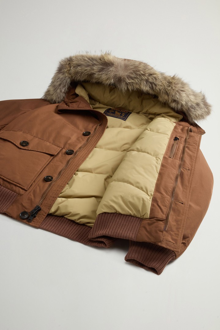 Padded Polar bomber jacket in Ramar Cloth with hood Brown photo 9 | Woolrich