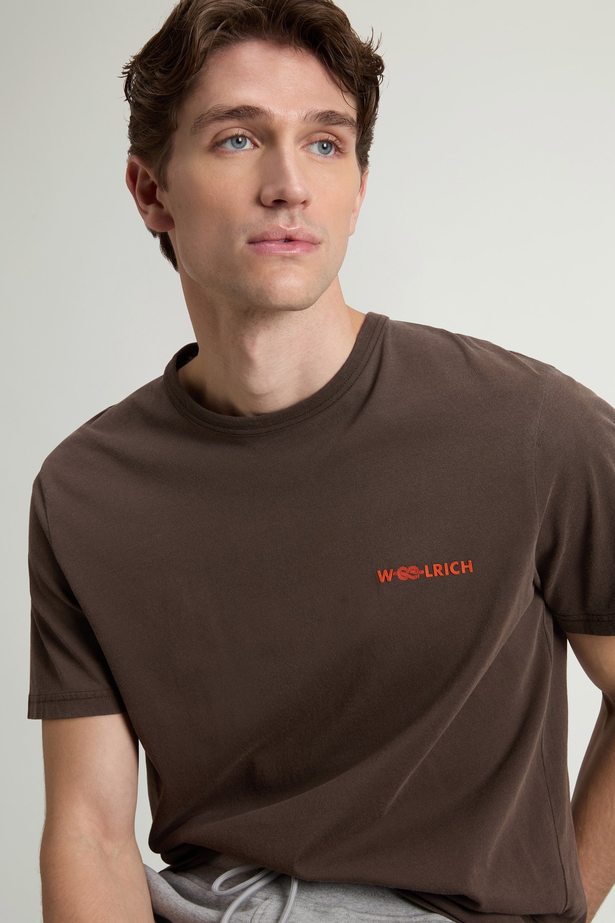 LIGHT GD GRAPHIC T-SHIRT Brown photo 4 | Woolrich