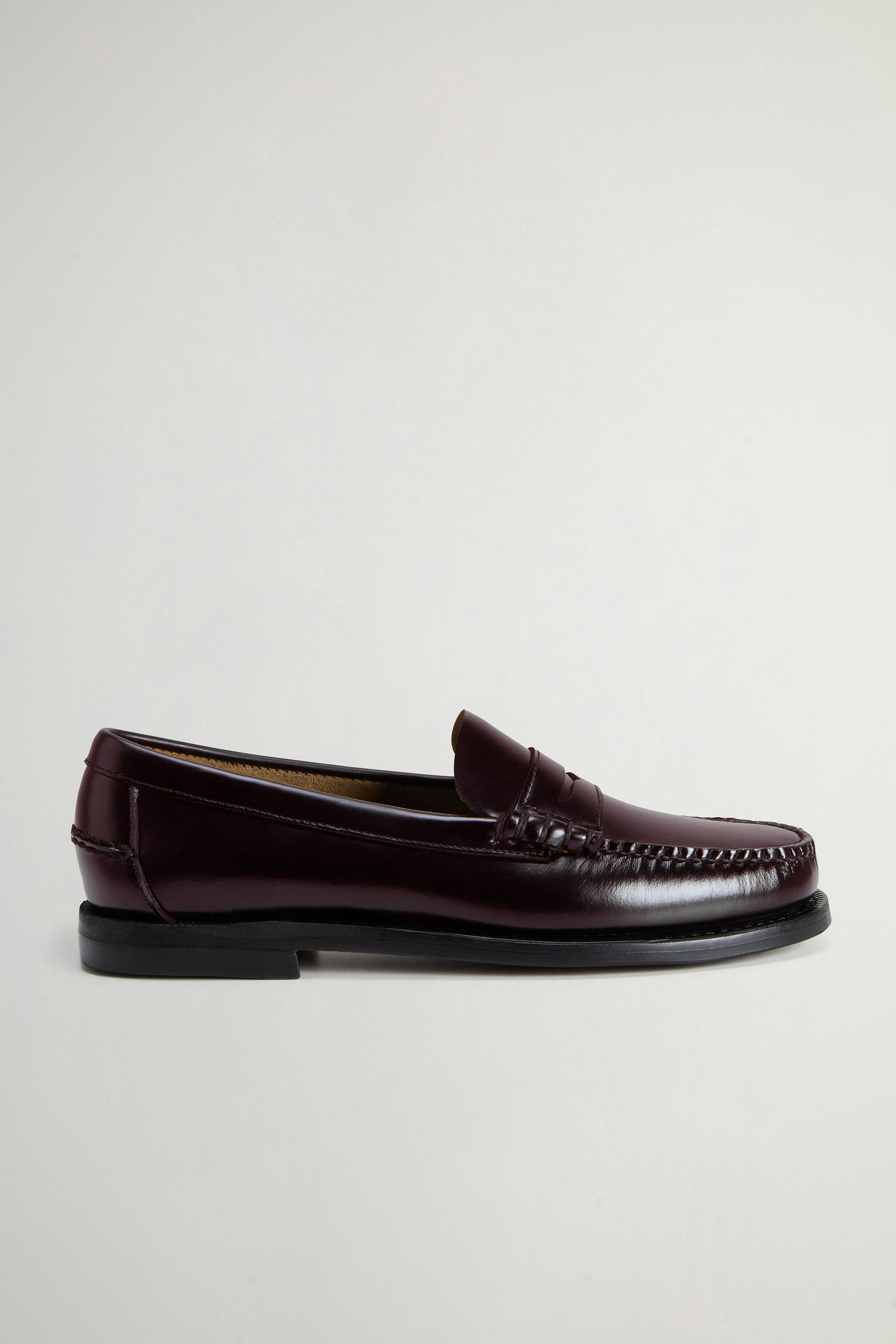 Sebago x Woolrich Classic Dan Loafers in Smooth Leather Brown photo 1 | Woolrich