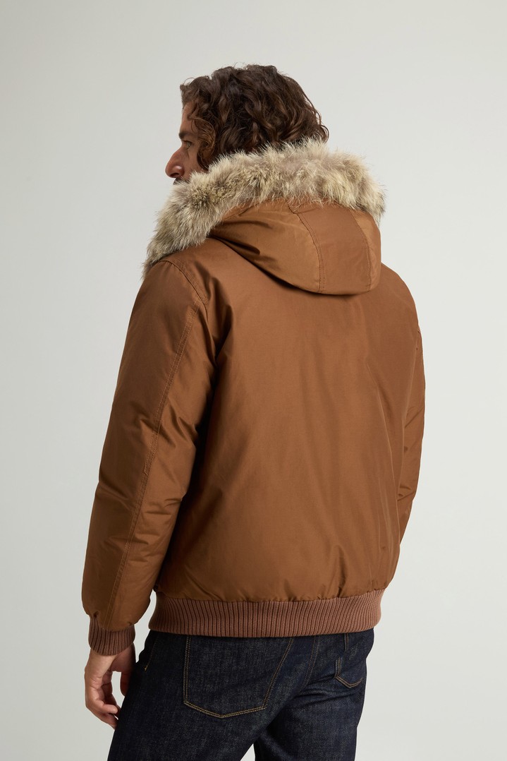 Padded Polar bomber jacket in Ramar Cloth with hood Brown photo 3 | Woolrich