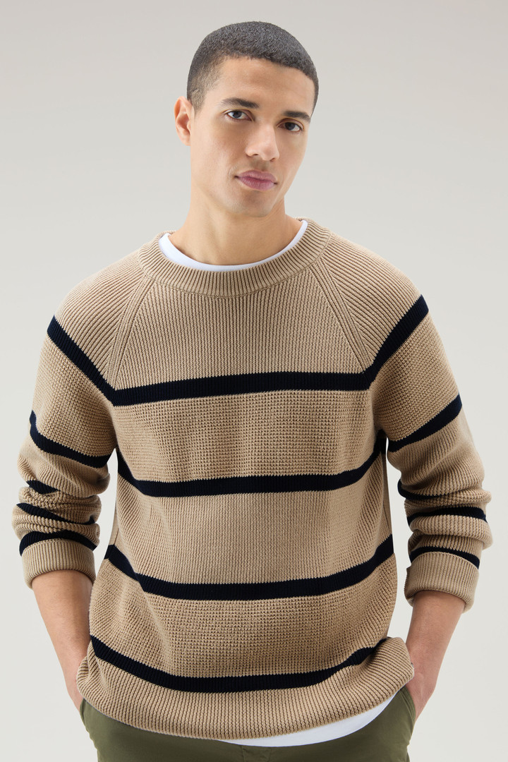 Striped Crewneck Sweater in Pure Cotton Beige photo 4 | Woolrich