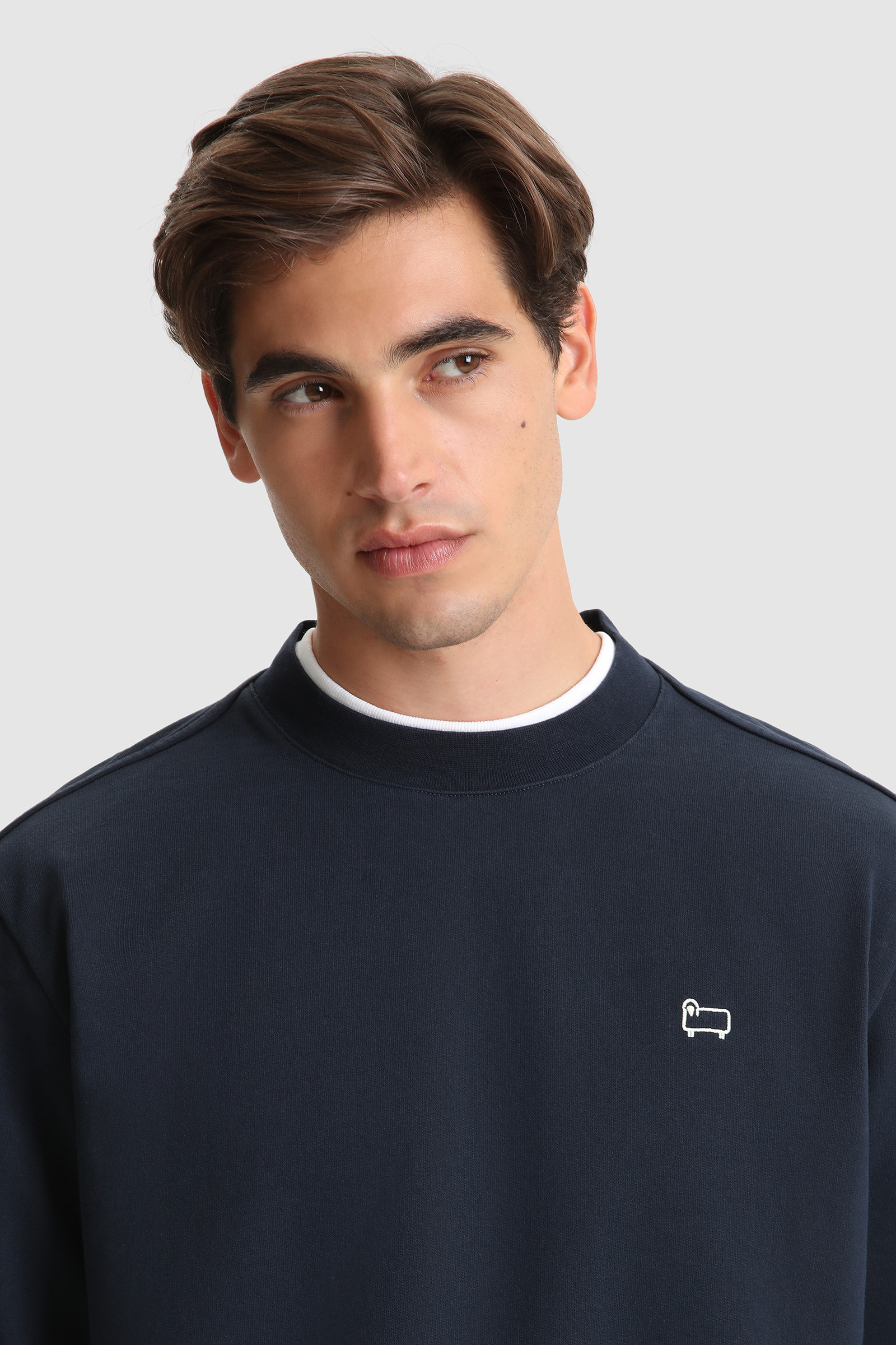 Amerikaanse sweater met ronde hals van geborsteld katoen