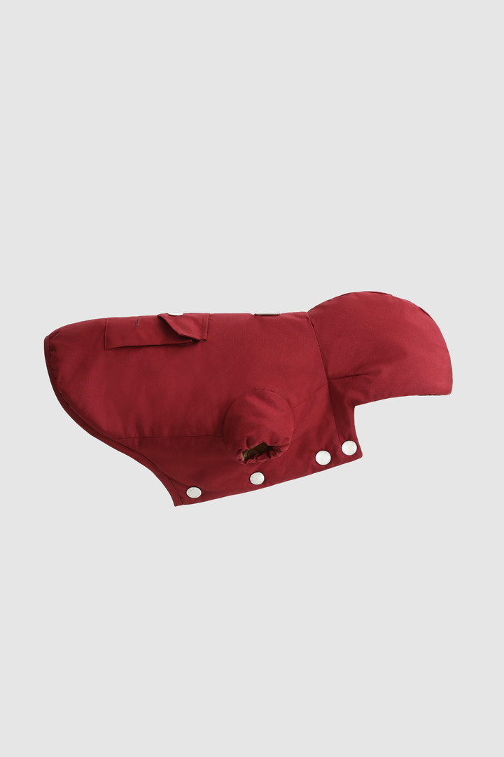 Temellini / Woolrich Parka für kleinen Hund Rot photo 3 | Woolrich