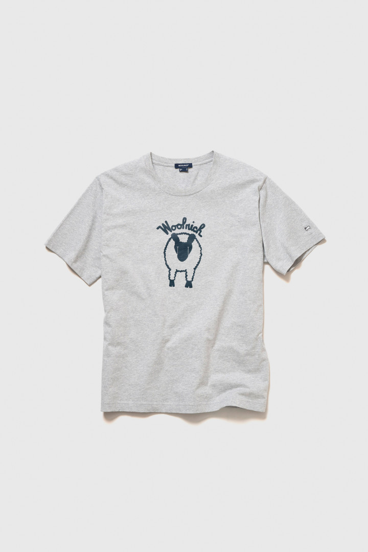 T-shirt Sheep Graphic grey photo 5 | Woolrich