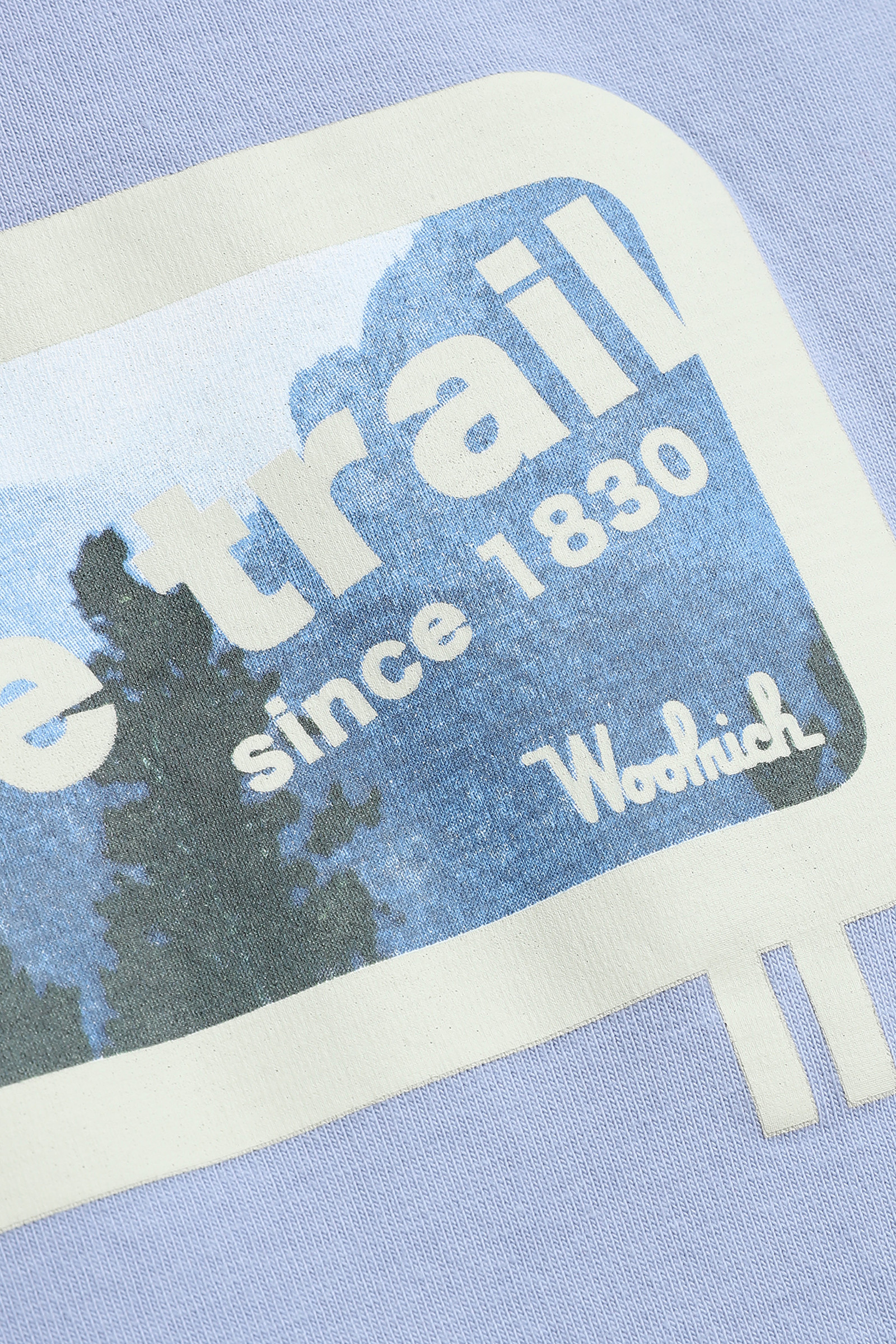 Sheep Panorama tee