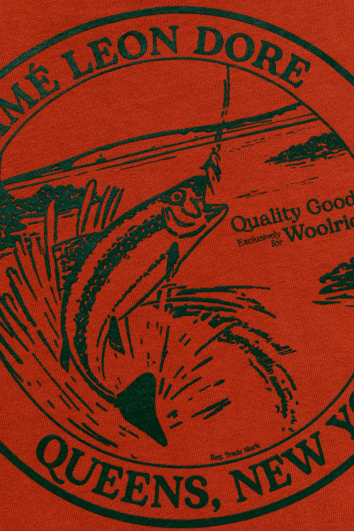 T-shirt avec imprimé au dos Aimé Leon Dore / Woolrich marron photo 2 | Woolrich