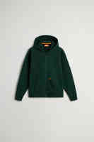 Dark Holly Green