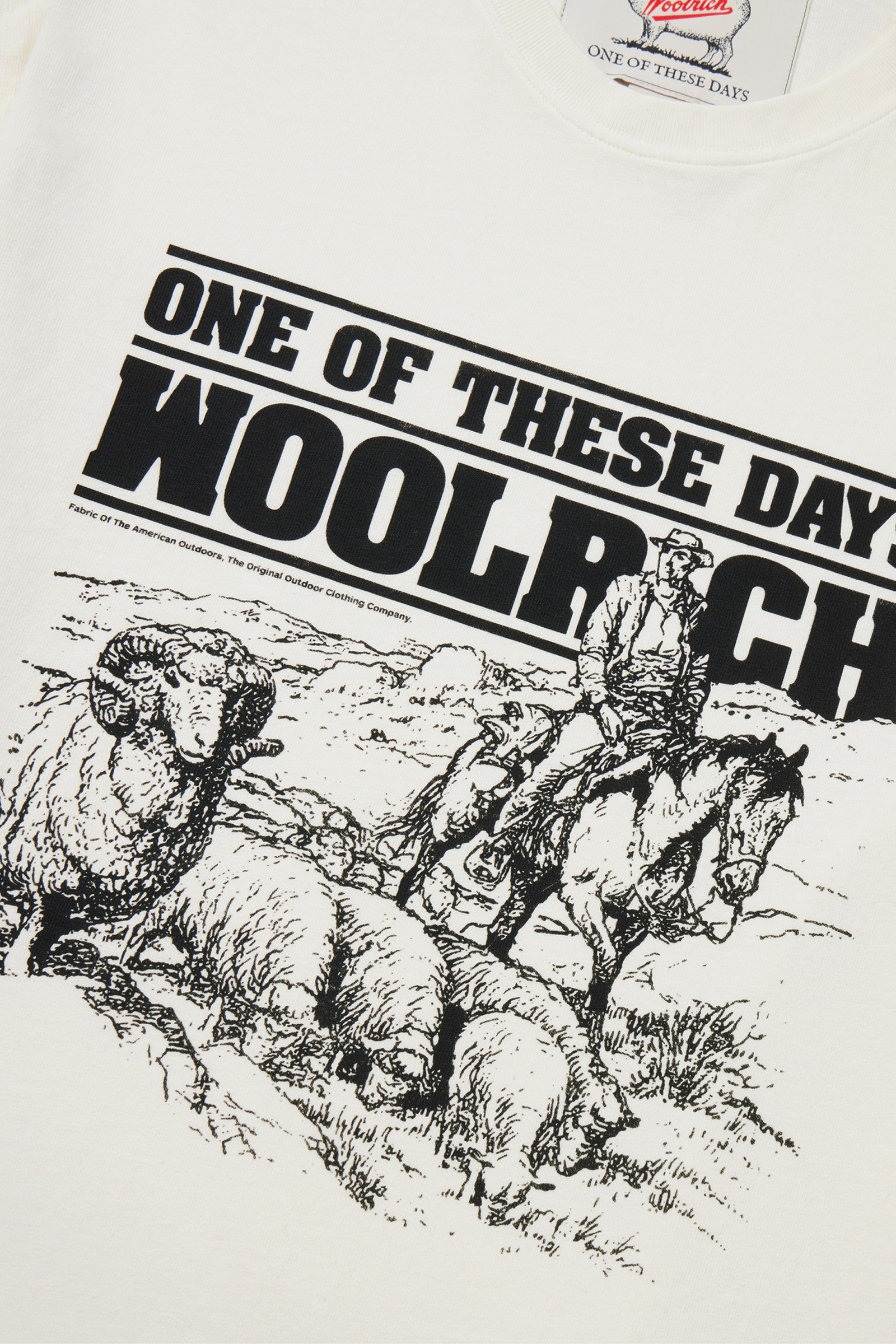 Men's T-shirt in Pure Cotton - One Of These Days / Woolrich White |  Woolrich USA