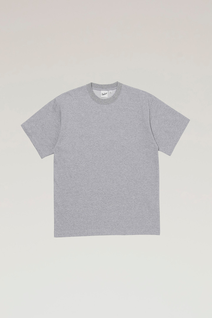 COOLMAX Print T-shirt Gray photo 1 | Woolrich