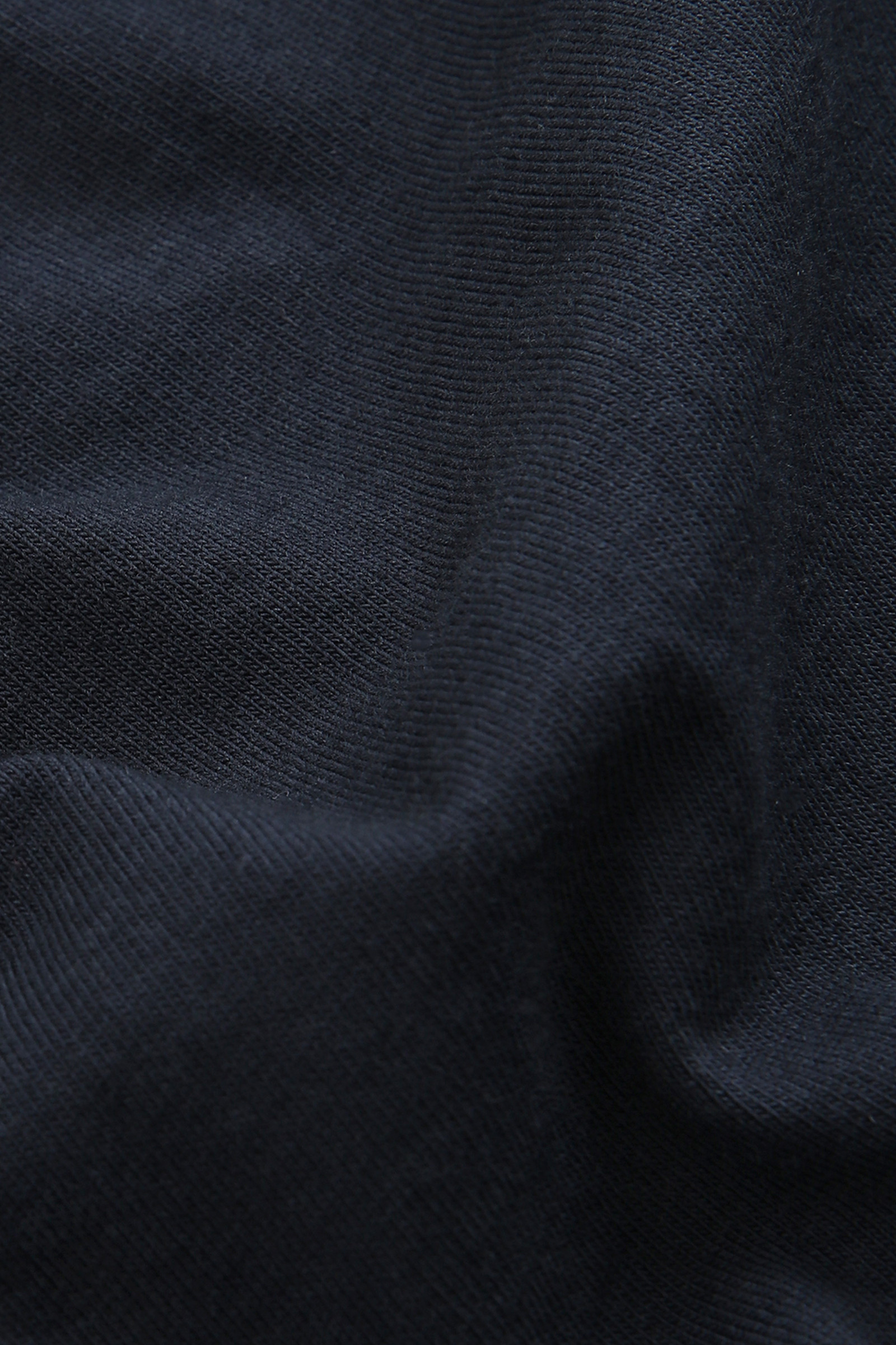 Organic Cotton T-Shirt with Back Print Blue photo 8 | Woolrich