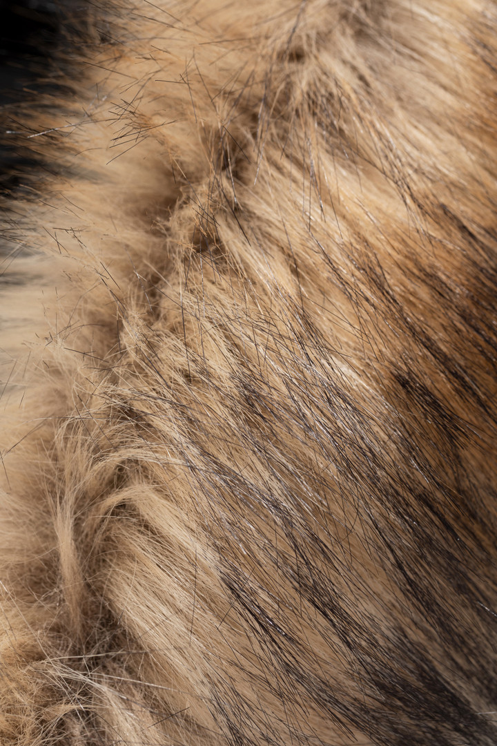 Parka with Detachable Faux Fur - Aimé Leon Dore / Woolrich Black photo 5 | Woolrich