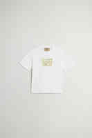 Arctic White