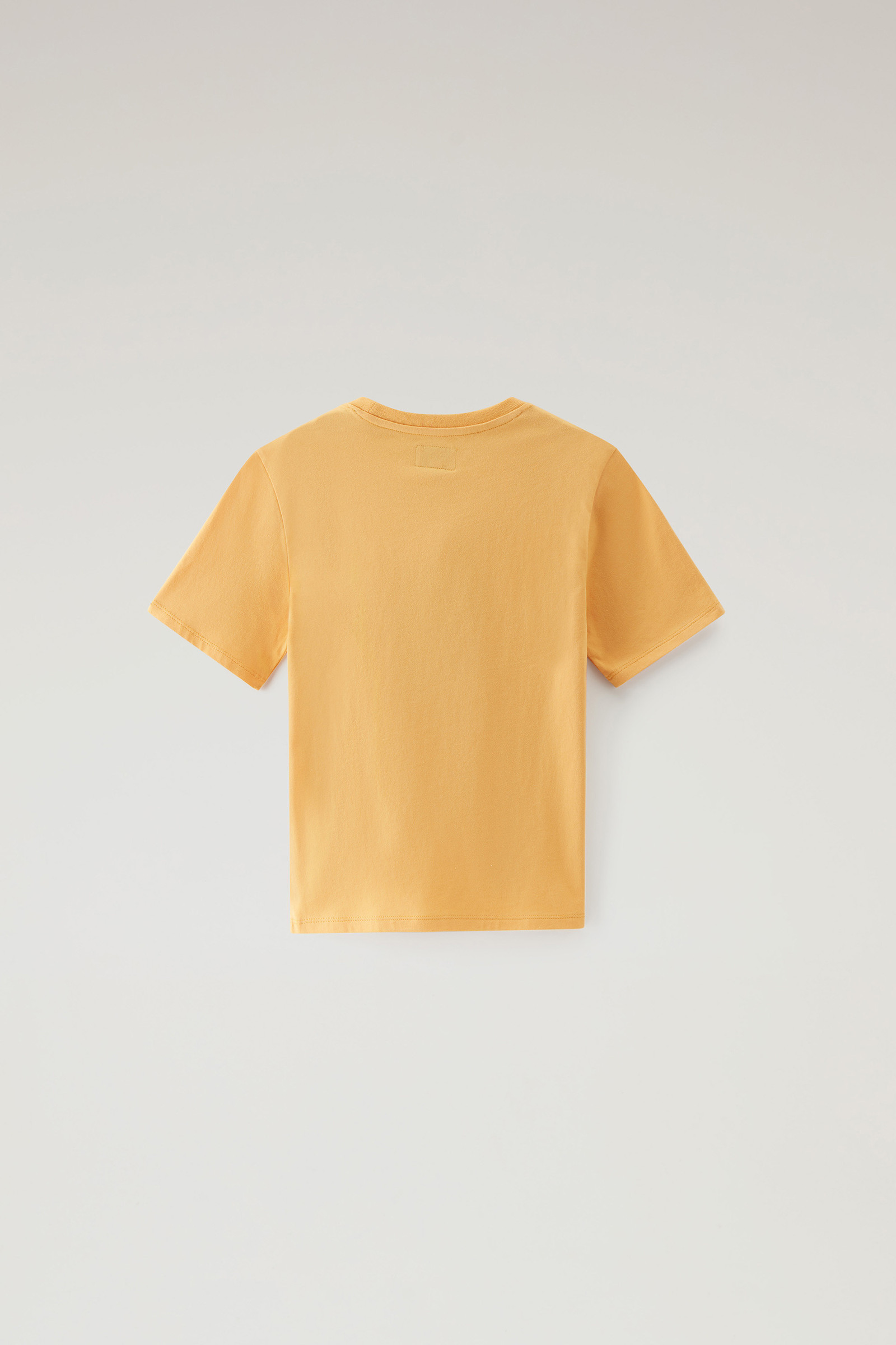 Boys' Tee in Pure Cotton with Print Yellow photo 2 | Woolrich