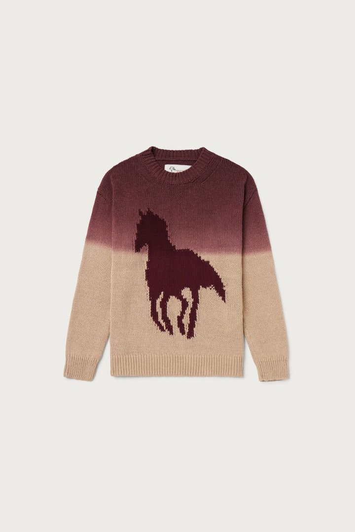 Crewneck Sweater in Blended Cotton with Ombré Effect - One Of These Days / Woolrich White photo 5 | Woolrich