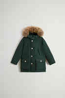 Dark Holly Green