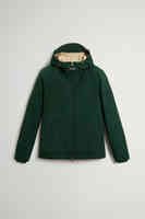 Dark Holly Green