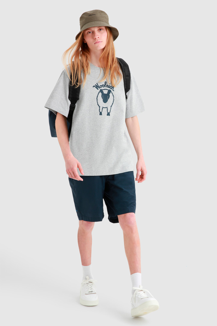 T-shirt Sheep Graphic grey photo 3 | Woolrich