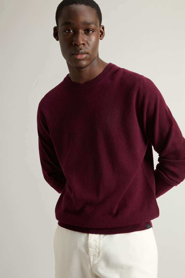 Pure Cashmere Crewneck Sweater Purple photo 4 | Woolrich