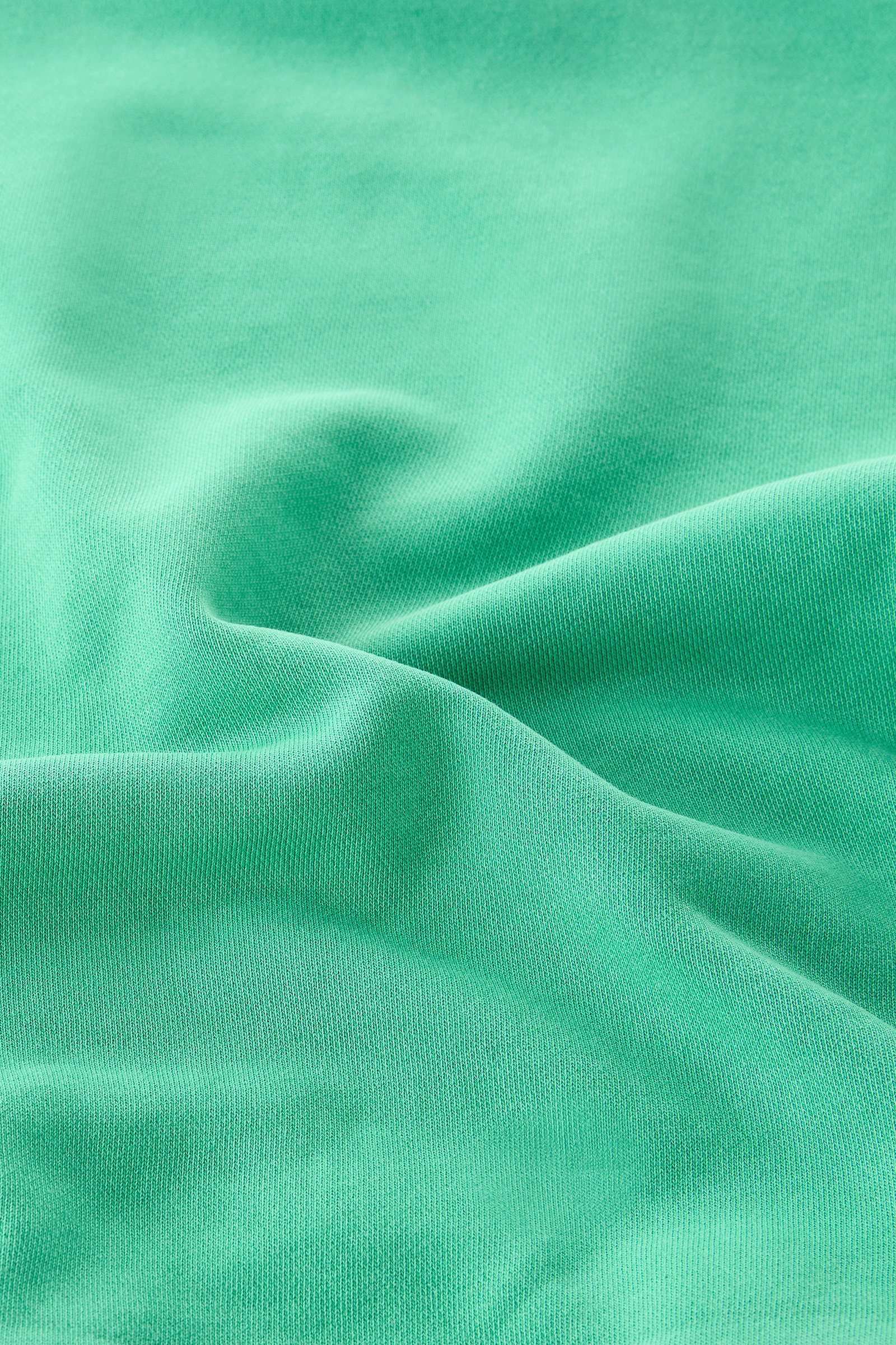 Boys' Garment-Dyed Crewneck in Pure Cotton Green photo 5 | Woolrich
