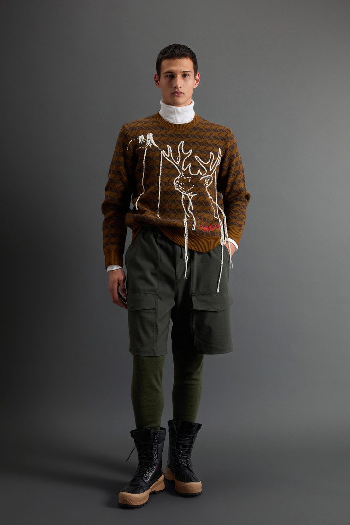 Crewneck Sweater in Pure Merino Wool with Embroidery by Todd Snyder Brown photo 2 | Woolrich