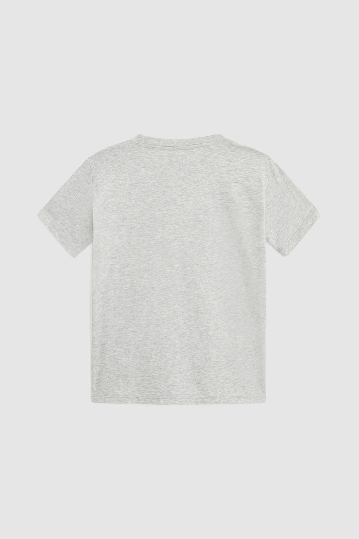 USA-Logo-T-Shirt