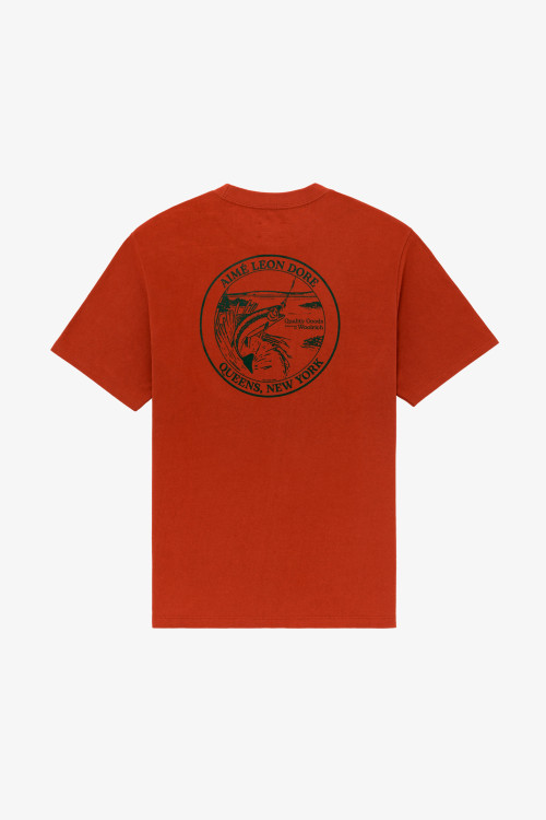 T-shirt avec imprimé au dos Aimé Leon Dore / Woolrich marron | Woolrich