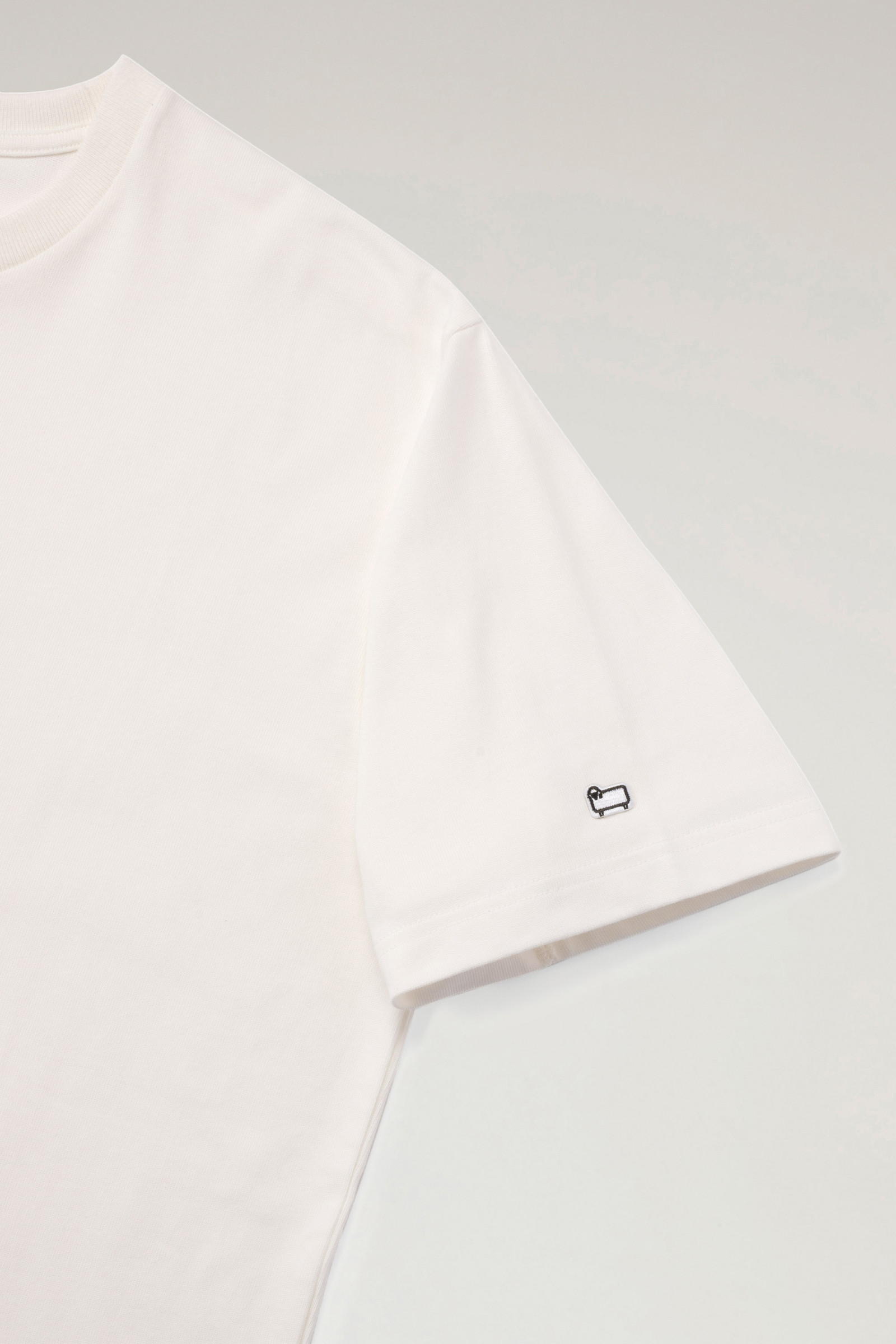 Small Sheep T-shirt in Pure Cotton Jersey White photo 4 | Woolrich
