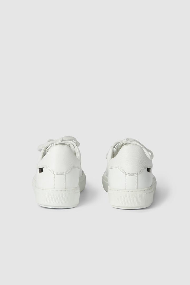Sneakers All Around