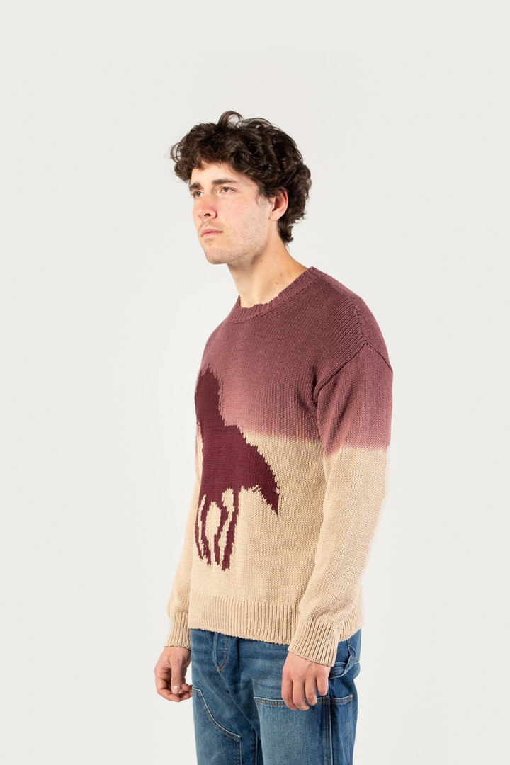 Crewneck Sweater in Blended Cotton with Ombré Effect - One Of These Days / Woolrich White photo 2 | Woolrich