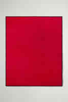Red Buffalo