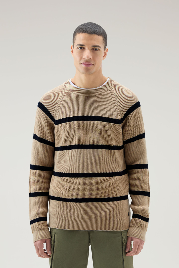 Striped Crewneck Sweater in Pure Cotton Beige photo 1 | Woolrich