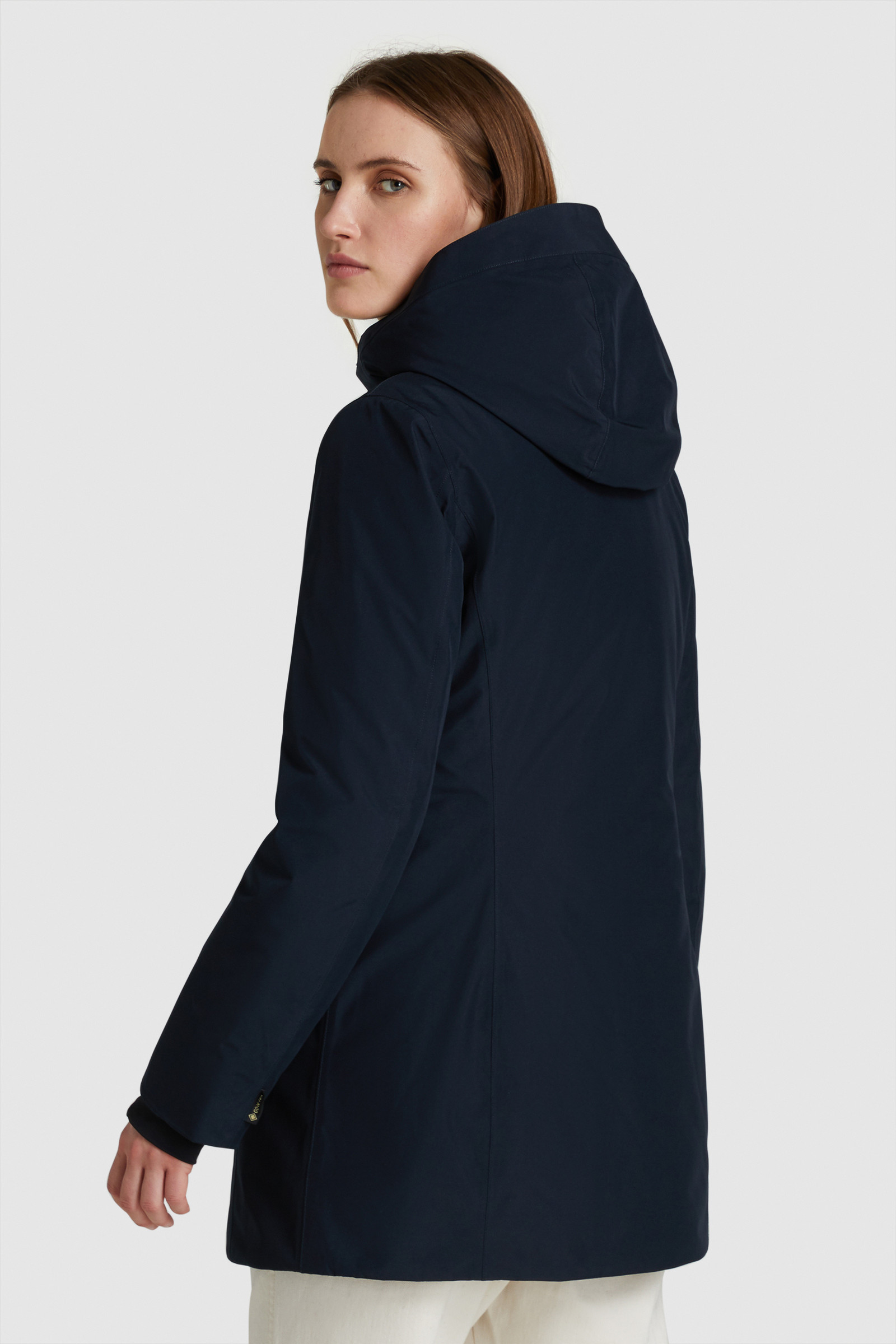 GORE-TEX Tech Arctic Parka