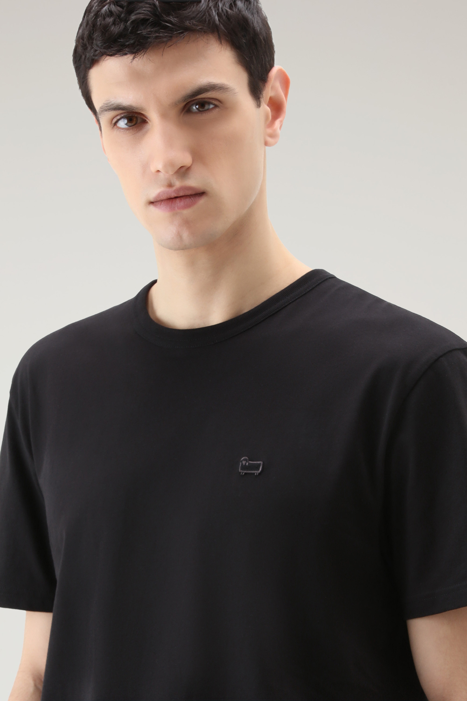 T-shirt Sheep in puro cotone nero photo 4 | Woolrich