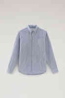 Maritime Blue Stripe