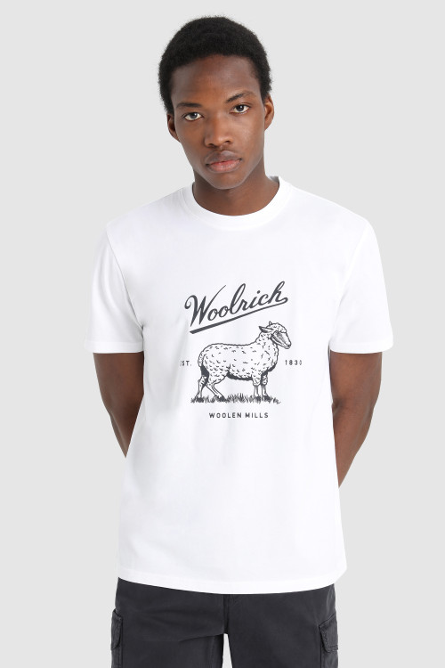 sorta blasted fish shirt