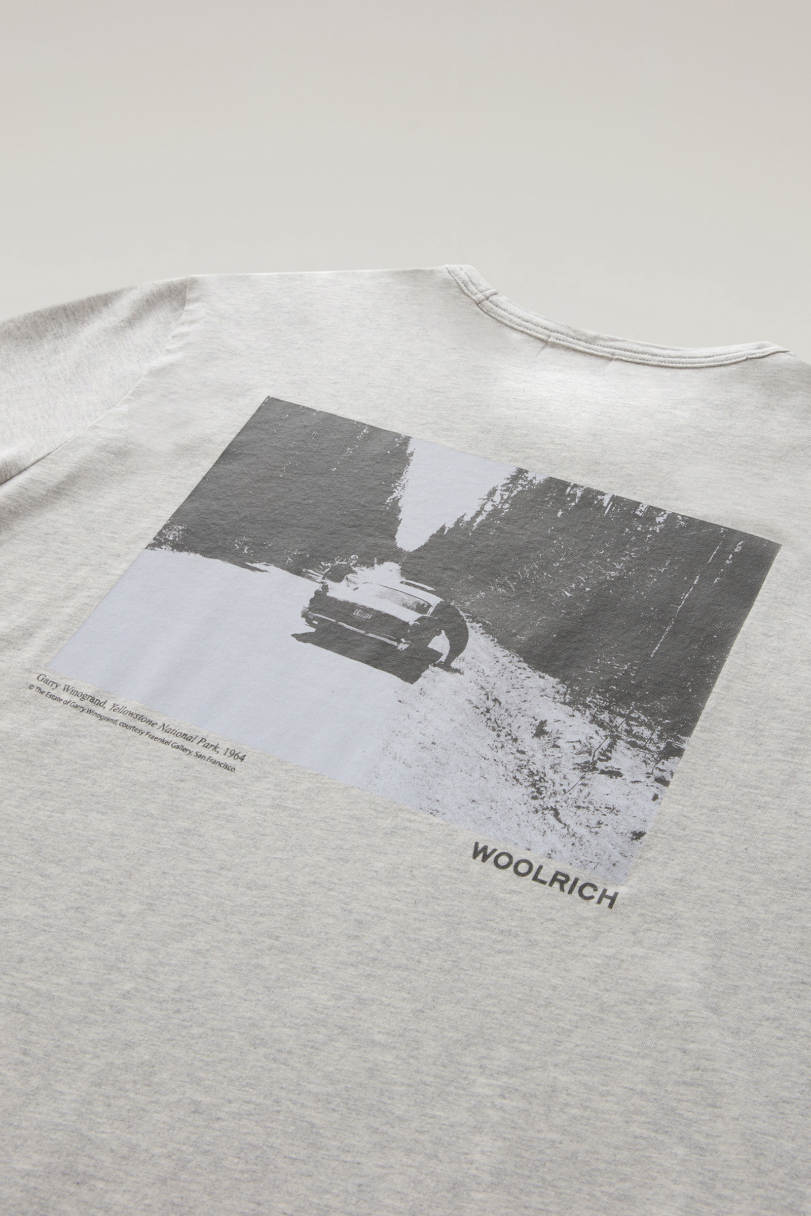 T-shirt aus reiner Baumwolle mit Yellowstone-Grafikprint grey photo 7 | Woolrich