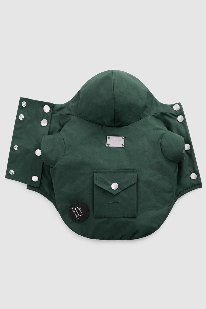 Parka pour petit chien Temellini / Woolrich