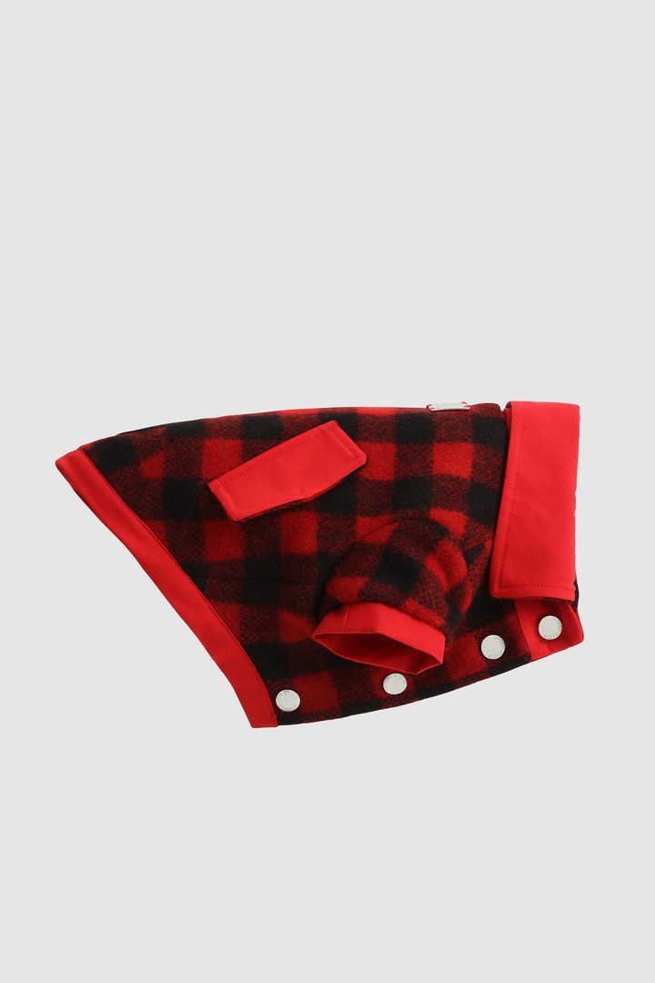 Temellini / Woolrich overhemd Buffalo Check kleine hond