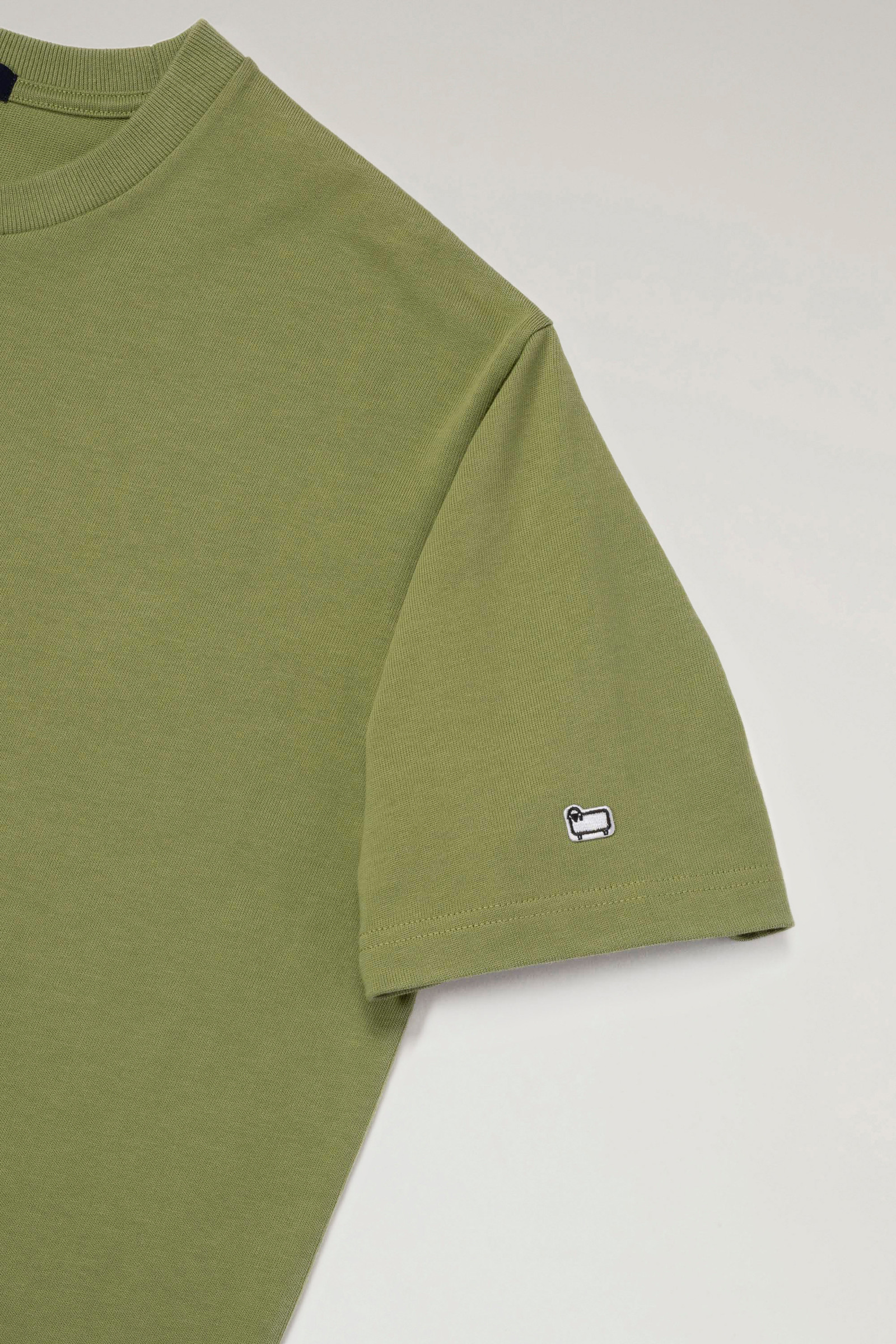 T-shirt van zuiver katoen met de opdruk van een tiny house groen photo 4 | Woolrich