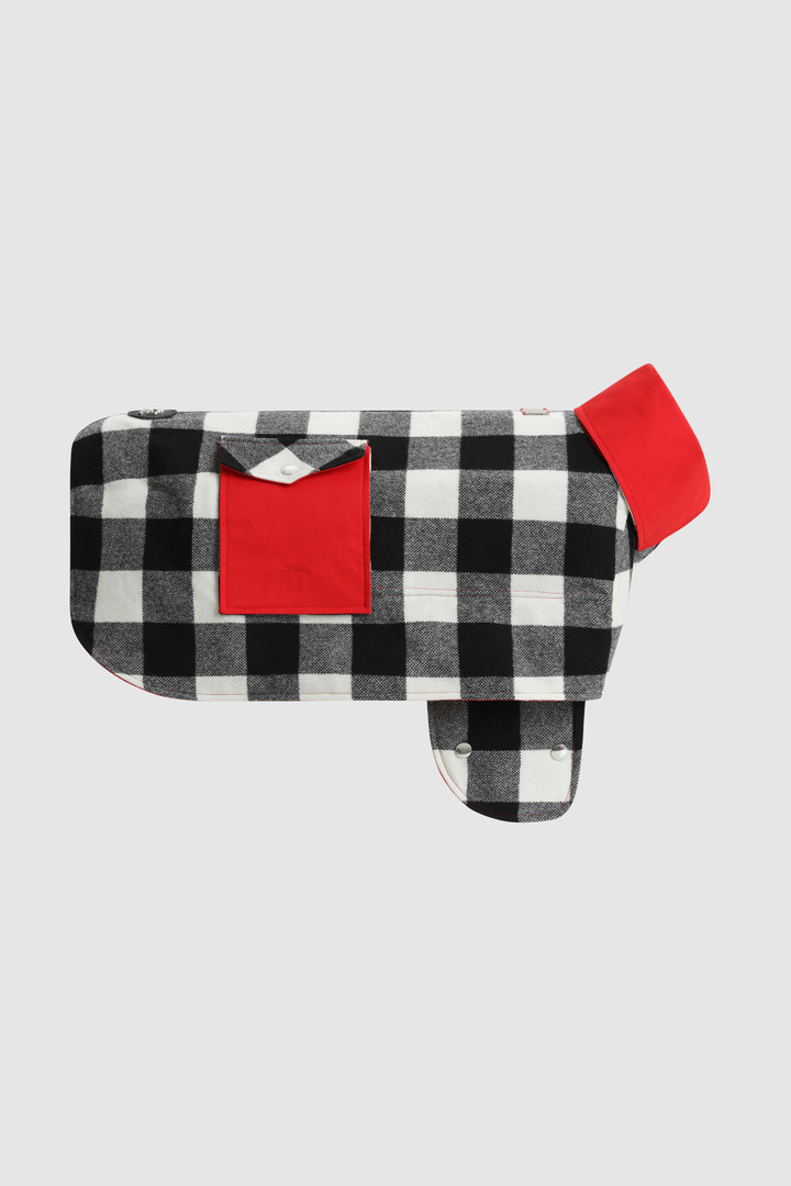 Surchemise à motif Buffalo Check pour grand chien Temellini / Woolrich