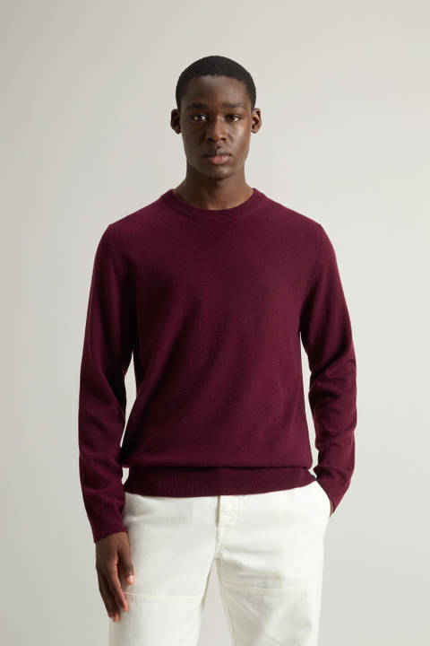 Pure Cashmere Crewneck Sweater Purple | Woolrich