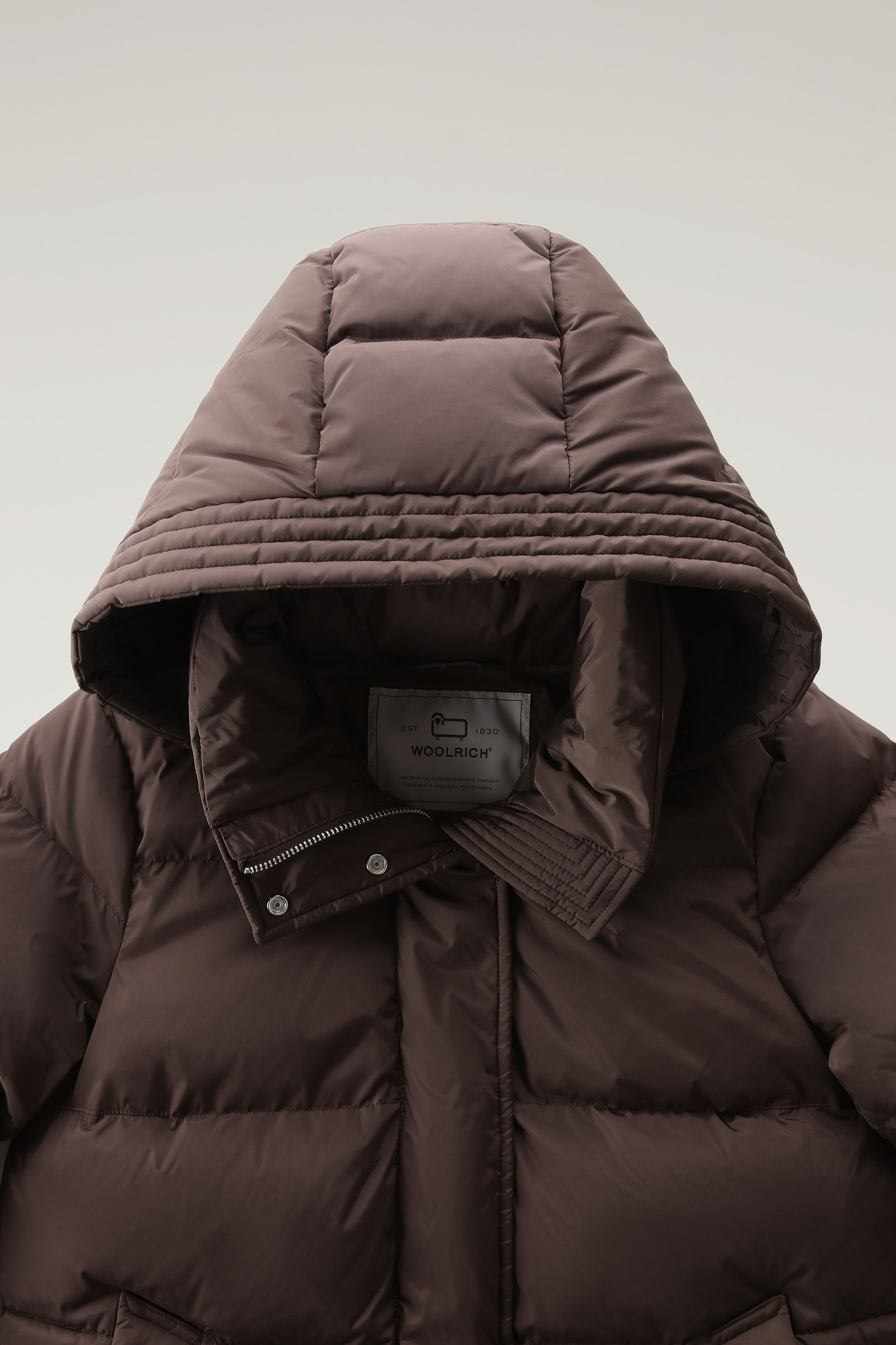 Hooded Alsea Down Jacket in Stretch Nylon - Women - Brown