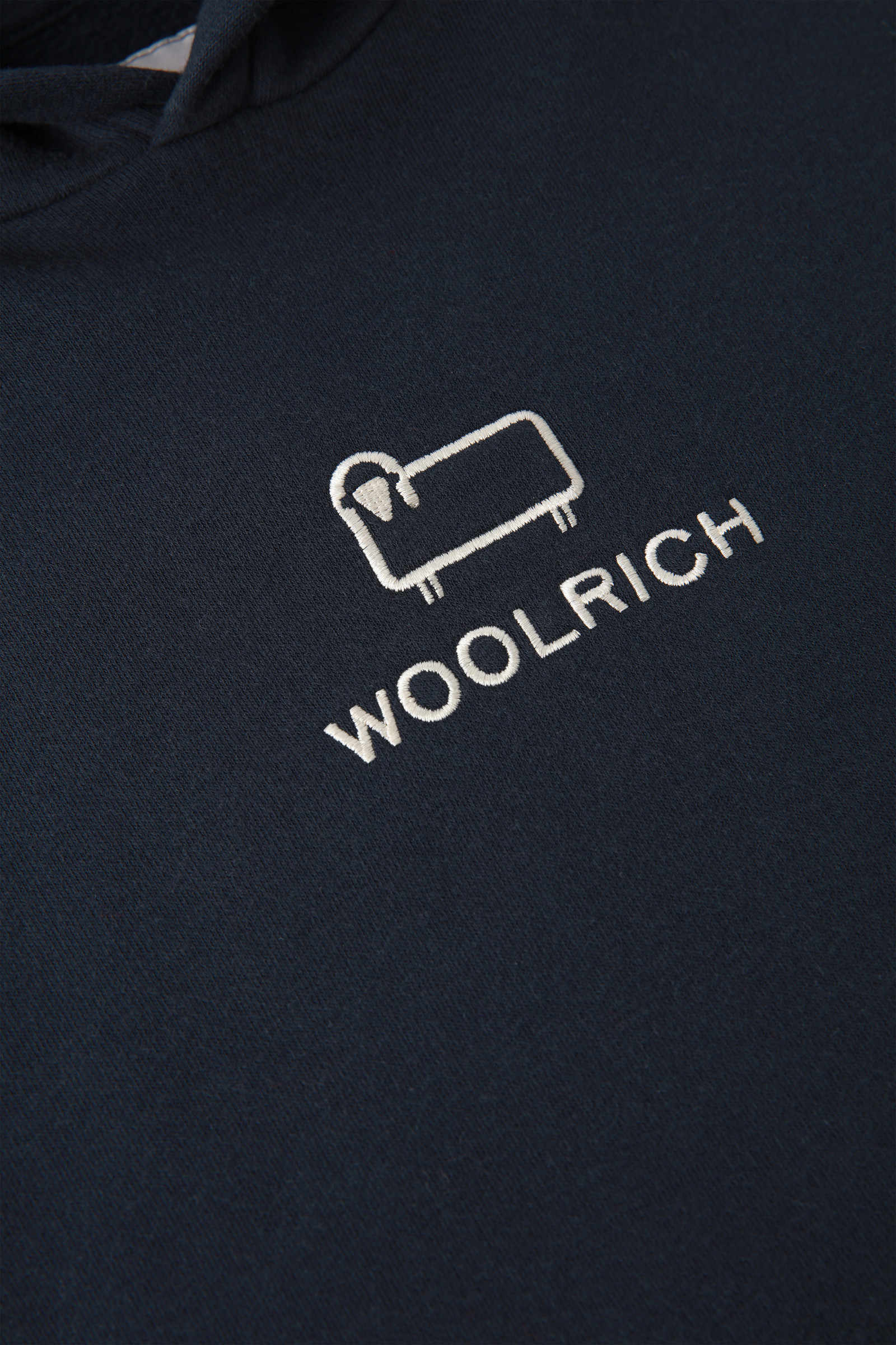 Boys' Logo Hoodie in Fleece Blue photo 4 | Woolrich