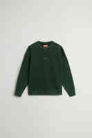 Dark Holly Green